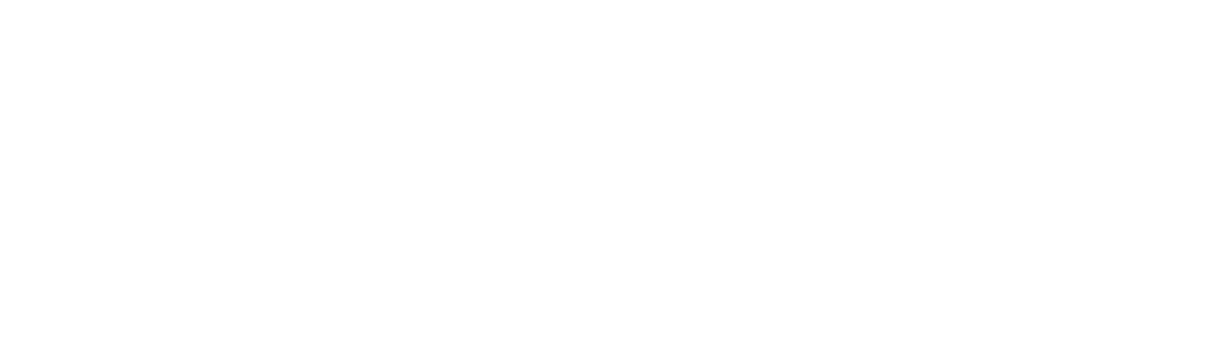 Spartan Cybersec Academy