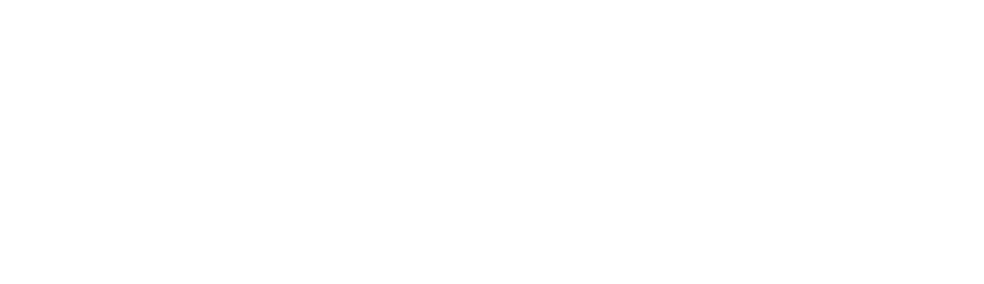 Universidad de Manizales